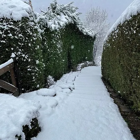 Courmayeur~navetta Gratuita Per Il Centro+impianti 아파트